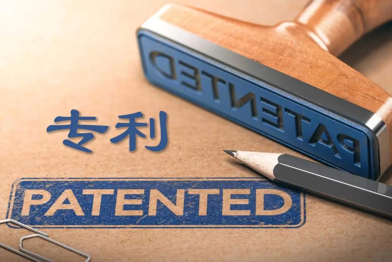 专利持有公司.png