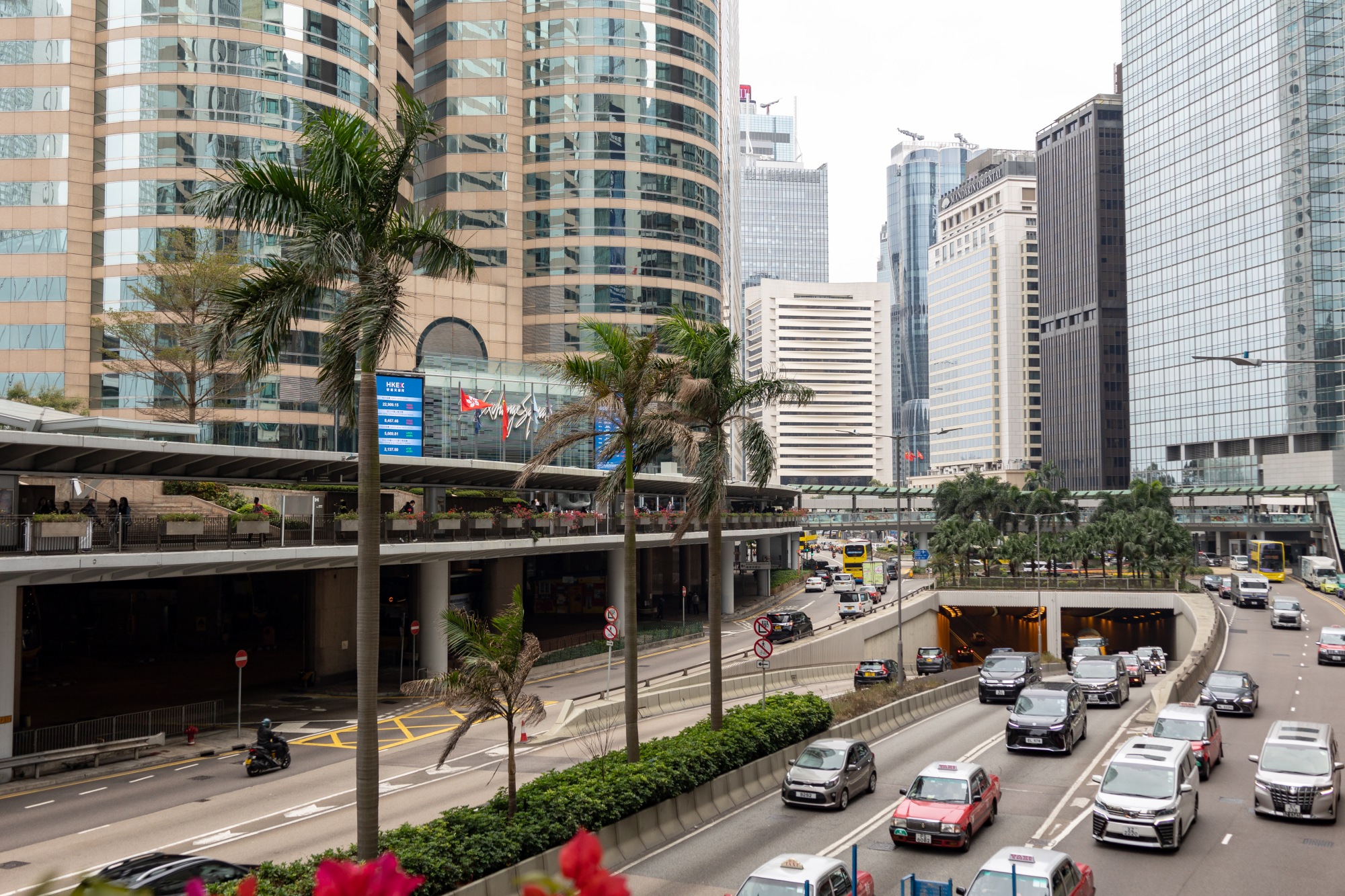 香港身份权益落地攻略：从税务登记到证件更新，三步保障身份有效性
