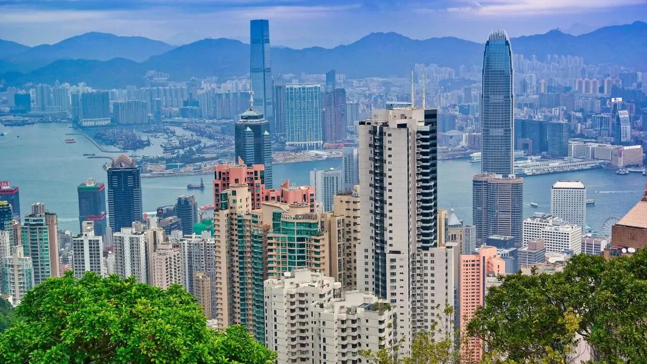 1775528230425677.jpg 1.jpg